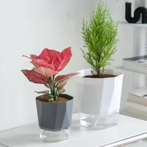 Home & Garden